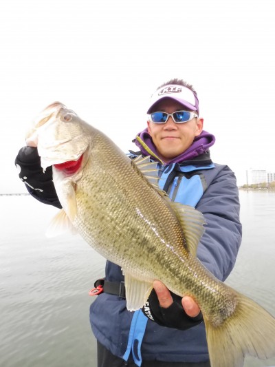 truth truth_news ブログ写真 2015/04/09