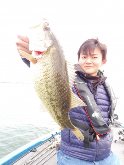 truth truth_news ブログ写真 2015/04/09