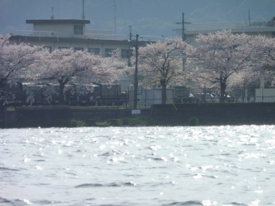 truth truth_news ブログ写真 2015/04/09