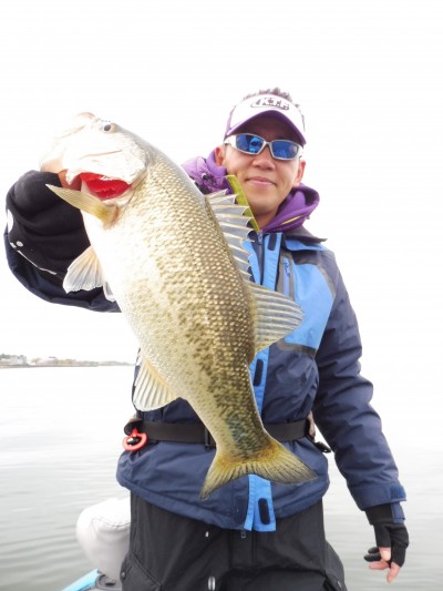 truth truth_news ブログ写真 2015/04/09