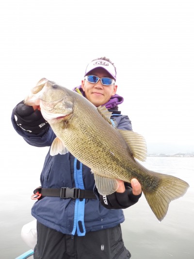 truth truth_news ブログ写真 2015/04/09