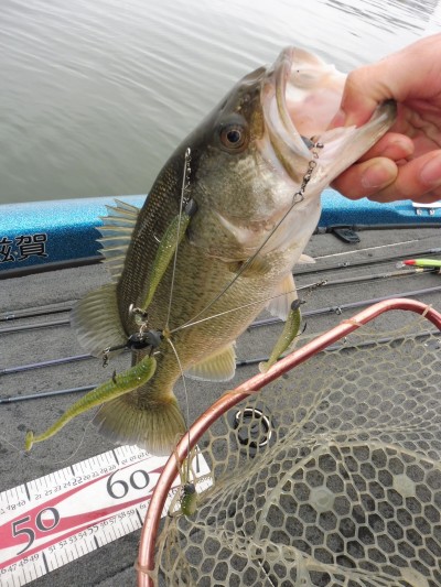 truth truth_news ブログ写真 2015/04/09