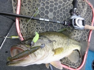 truth truth_news ブログ写真 2015/04/10