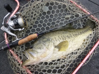 truth truth_news ブログ写真 2015/04/10