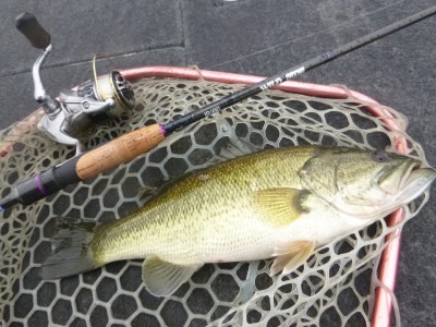 truth truth_news ブログ写真 2015/04/10