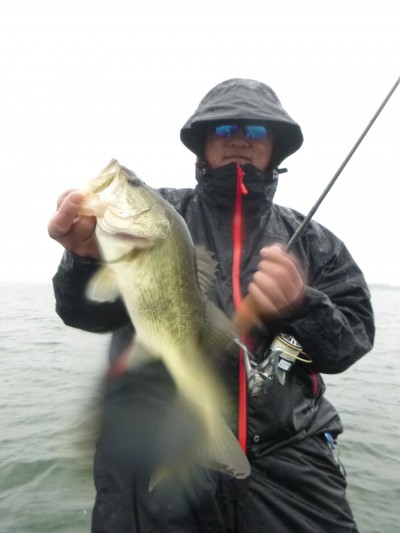 truth truth_news ブログ写真 2015/04/10