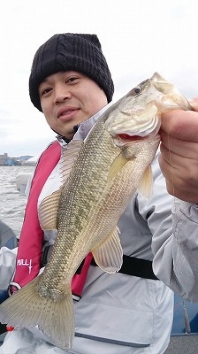 truth truth_news ブログ写真 2015/04/11