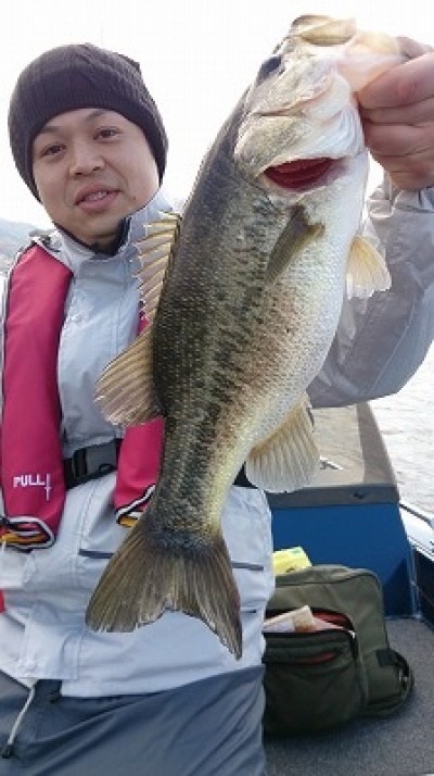 truth truth_news ブログ写真 2015/04/11