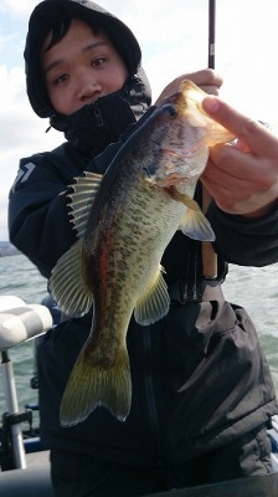 truth truth_news ブログ写真 2015/04/11