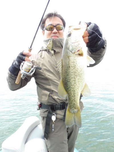 truth truth_news ブログ写真 2015/04/11