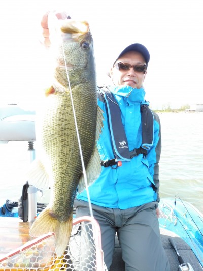 truth truth_news ブログ写真 2015/04/11