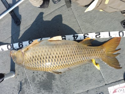 truth truth_news ブログ写真 2015/04/11