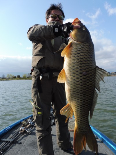 truth truth_news ブログ写真 2015/04/11