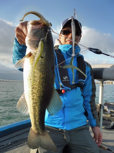 truth truth_news ブログ写真 2015/04/11