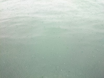 truth truth_news ブログ写真 2015/04/14