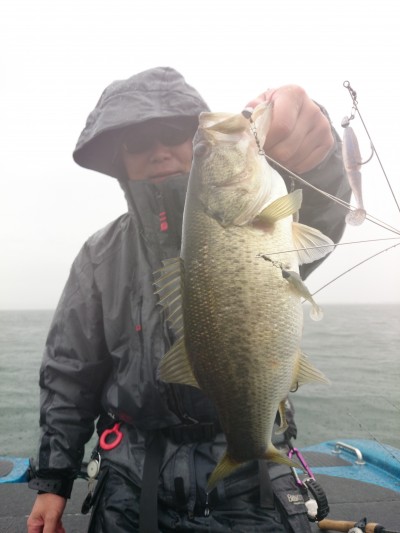 truth truth_news ブログ写真 2015/04/14