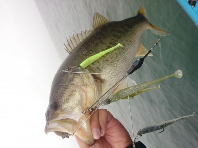 truth truth_news ブログ写真 2015/04/14