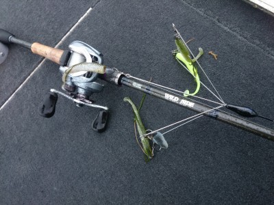 truth truth_news ブログ写真 2015/04/14