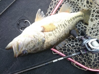 truth truth_news ブログ写真 2015/04/14