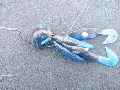 truth truth_news ブログ写真 2015/04/14