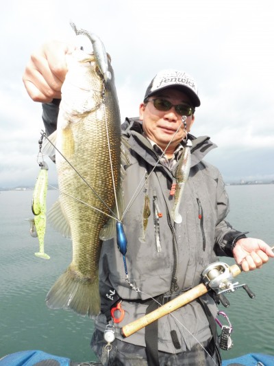 truth truth_news ブログ写真 2015/04/15