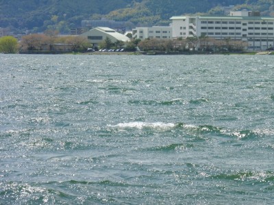 truth truth_news ブログ写真 2015/04/15