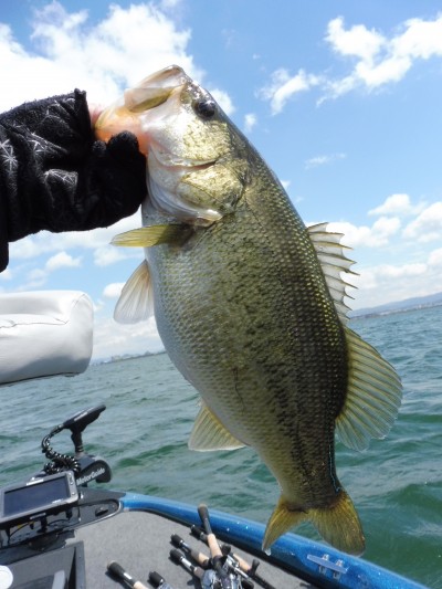 truth truth_news ブログ写真 2015/04/15