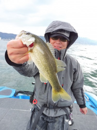 truth truth_news ブログ写真 2015/04/15