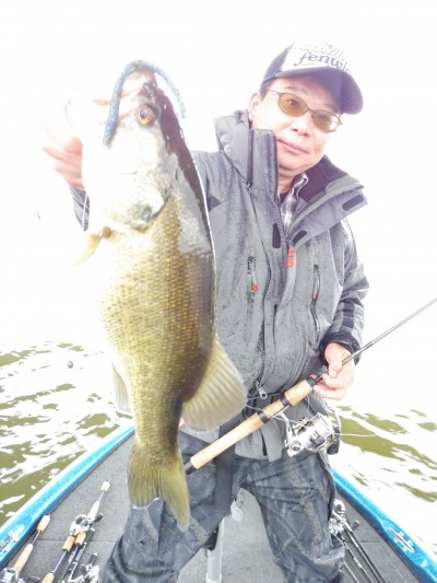 truth truth_news ブログ写真 2015/04/15