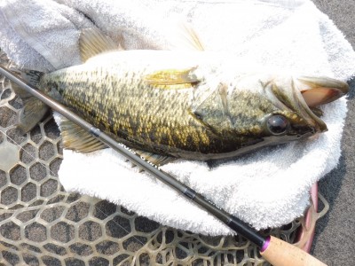 truth truth_news ブログ写真 2015/04/16