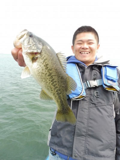 truth truth_news ブログ写真 2015/04/16