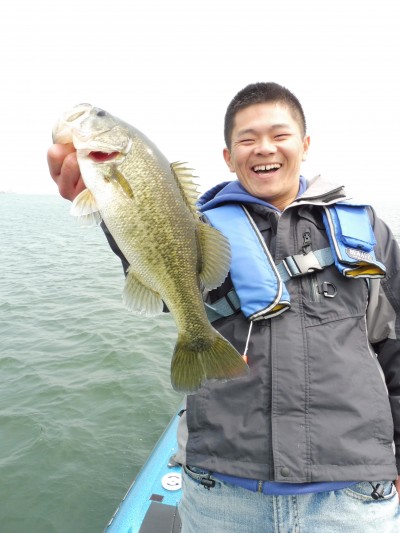 truth truth_news ブログ写真 2015/04/16