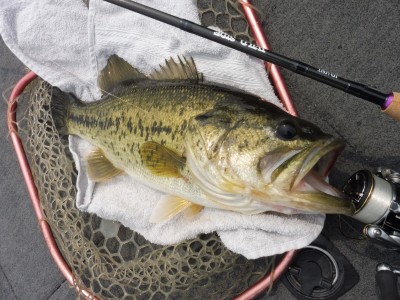 truth truth_news ブログ写真 2015/04/16