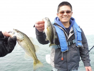 truth truth_news ブログ写真 2015/04/16