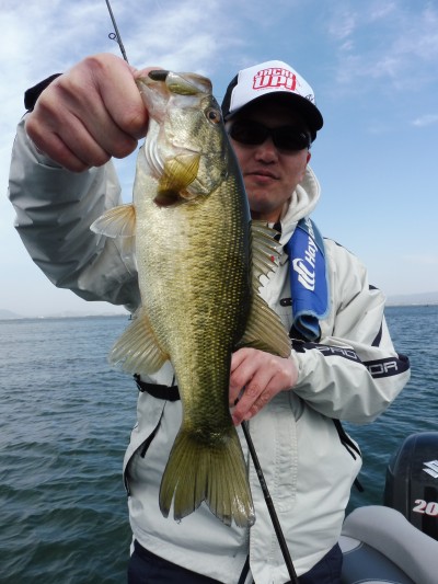 truth truth_news ブログ写真 2015/04/17