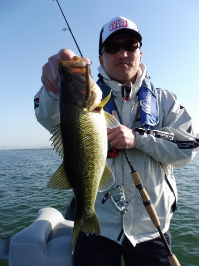 truth truth_news ブログ写真 2015/04/17