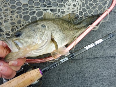 truth truth_news ブログ写真 2015/04/17