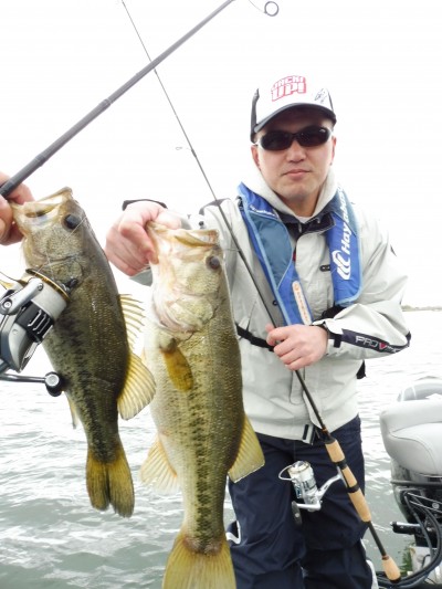 truth truth_news ブログ写真 2015/04/17