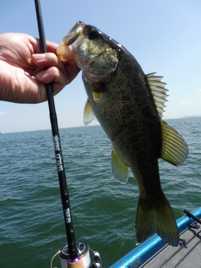 truth truth_news ブログ写真 2015/04/17