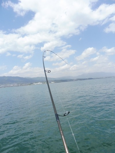 truth truth_news ブログ写真 2015/04/17