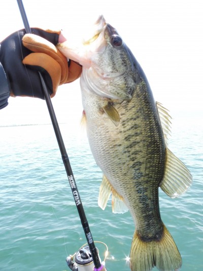 truth truth_news ブログ写真 2015/04/17