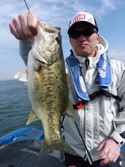 truth truth_news ブログ写真 2015/04/17