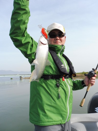 truth truth_news ブログ写真 2015/04/19