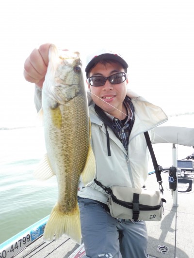 truth truth_news ブログ写真 2015/04/19