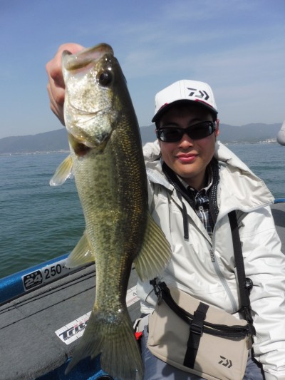 truth truth_news ブログ写真 2015/04/19