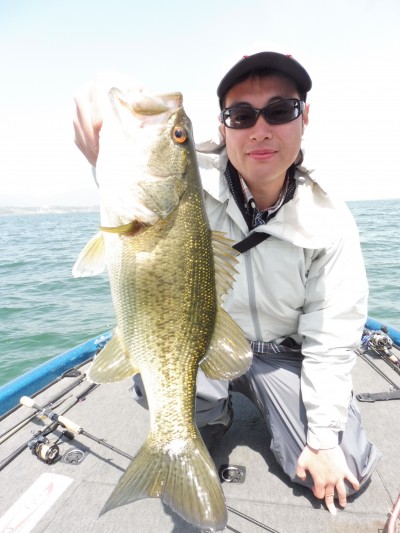 truth truth_news ブログ写真 2015/04/19