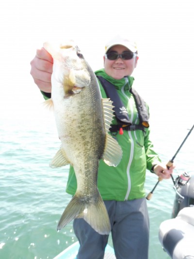 truth truth_news ブログ写真 2015/04/19