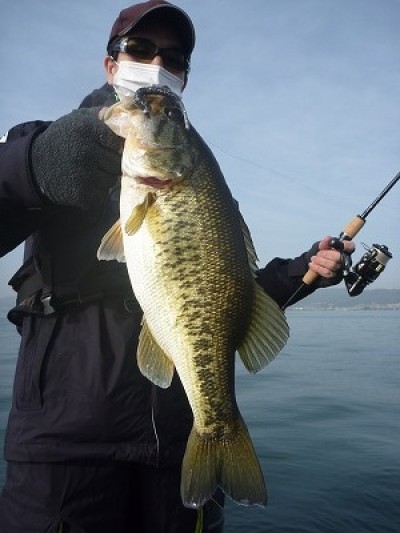 truth truth_news ブログ写真 2015/04/19