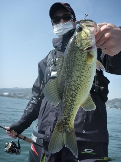 truth truth_news ブログ写真 2015/04/19