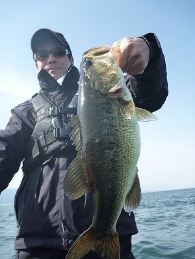 truth truth_news ブログ写真 2015/04/19